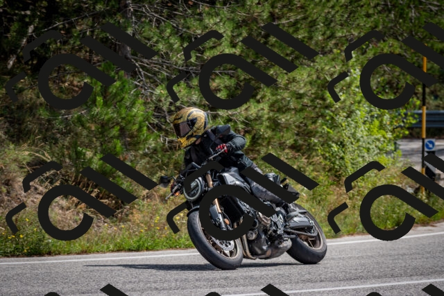 202509071234-DSC_3516_c2