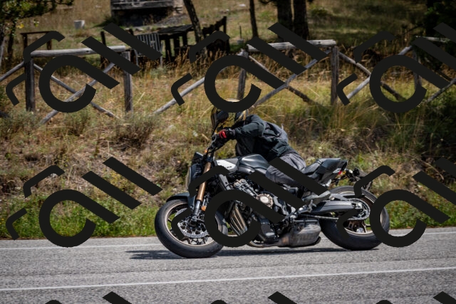 202509071234-DSC_3517_c2