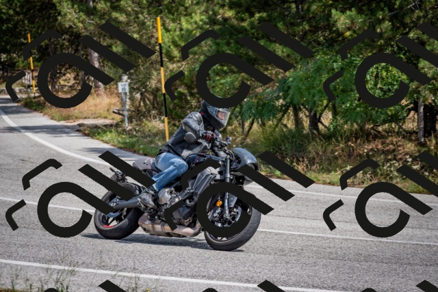 202509071234-DSC_3519_c2