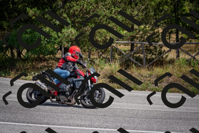 202509071234-DSC_3522_c2