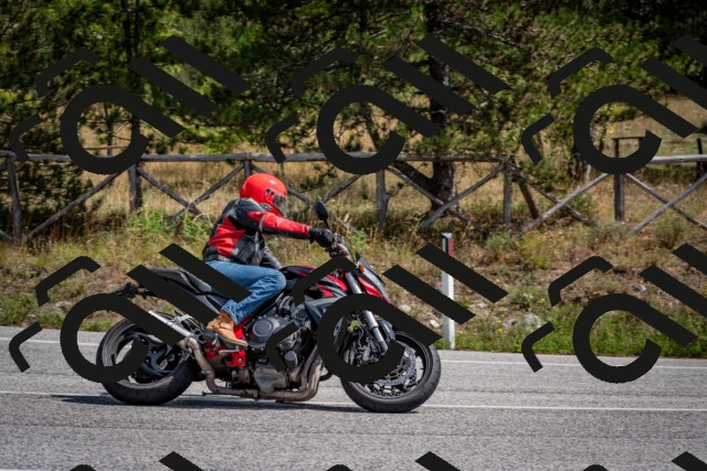 202509071234-DSC_3523_c2