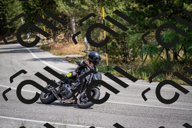 202509071235-DSC_3526_c2