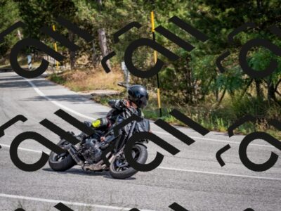 202509071235-DSC_3526_c2