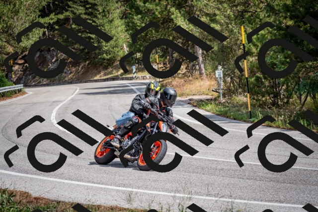 202509071235-DSC_3528_c2