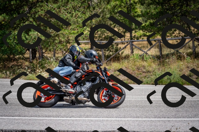 202509071235-DSC_3529_c2