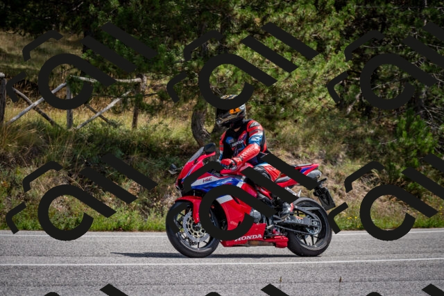 202509071236-DSC_3534_c2