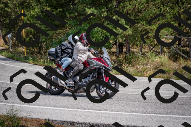 202509071237-DSC_3536_c2