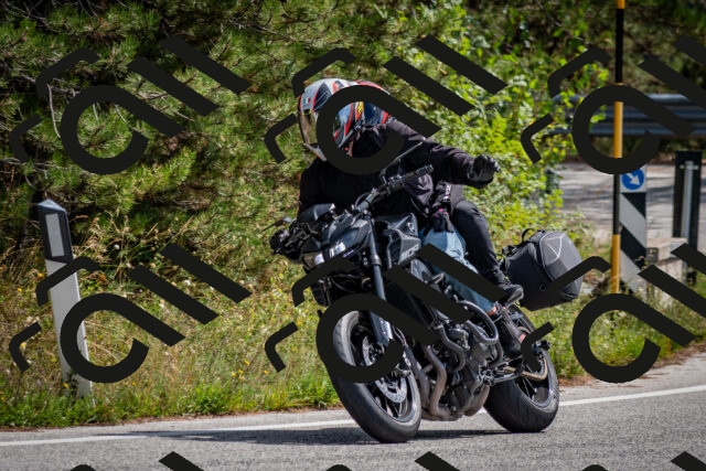 202509071237-DSC_3537_c2