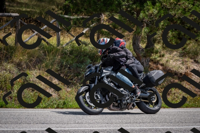 202509071237-DSC_3538_c2