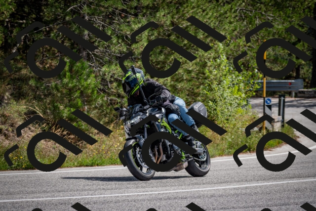 202509071238-DSC_3539_c2