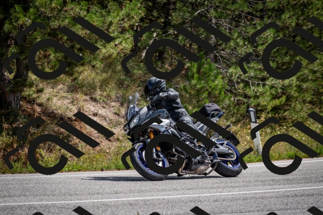 202509071238-DSC_3541_c2