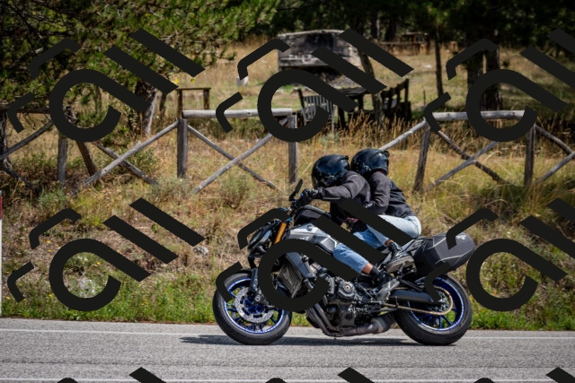 202509071238-DSC_3551_c2