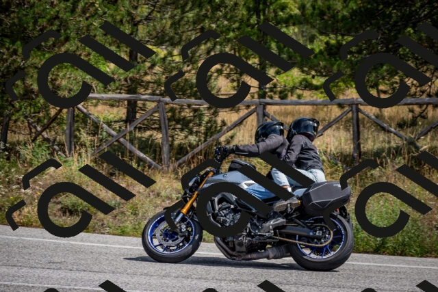 202509071238-DSC_3552_c2