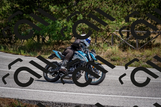 202509071239-DSC_3561_c2