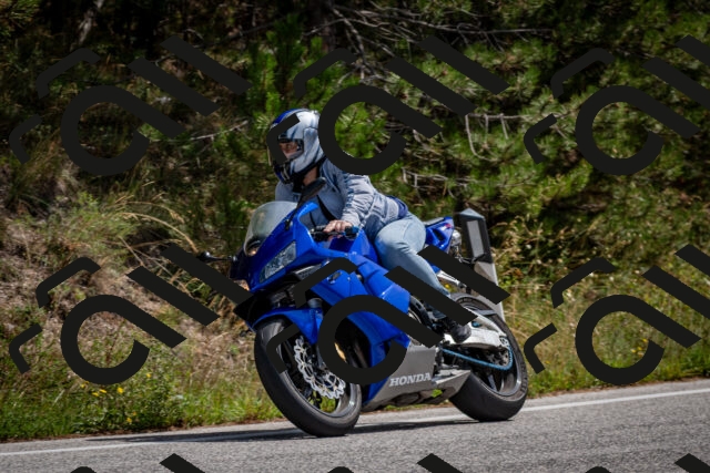 202509071239-DSC_3566_c2