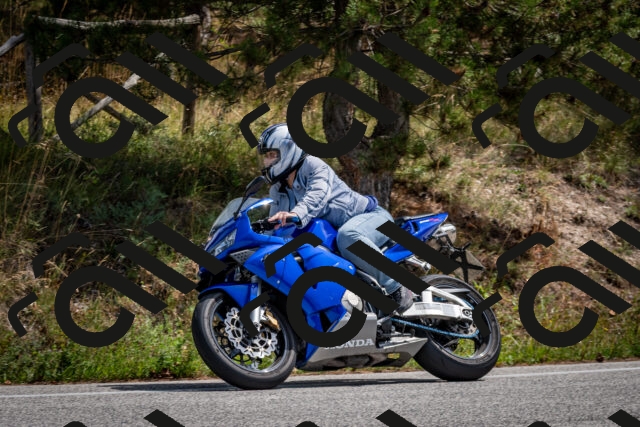 202509071239-DSC_3567_c2