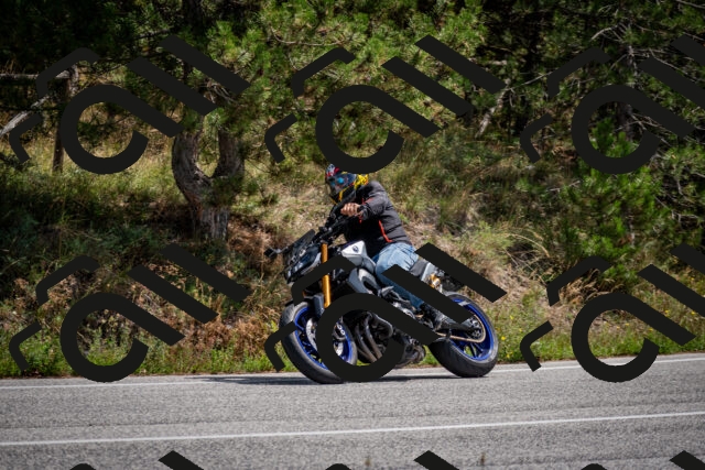 202509071239-DSC_3568_c2