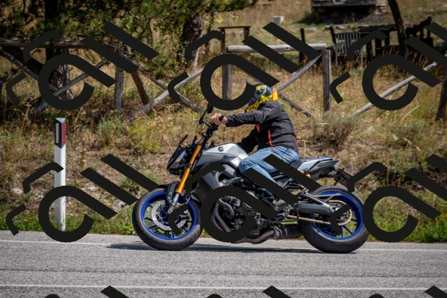 202509071239-DSC_3569_c2