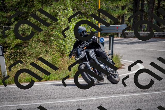 202509071240-DSC_3576_c2