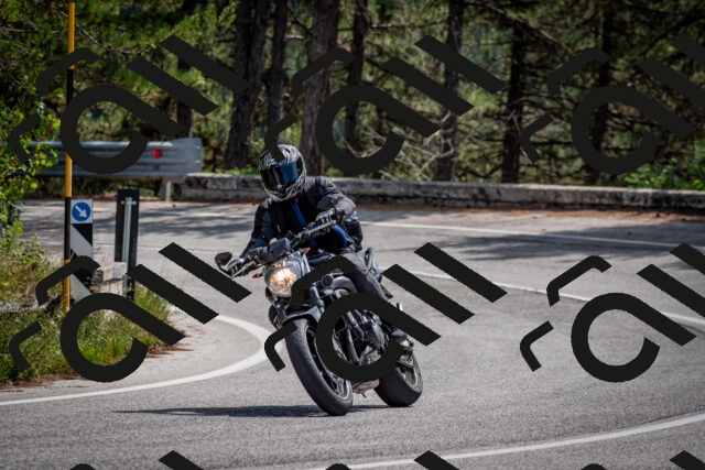 202509071241-DSC_3578_c2