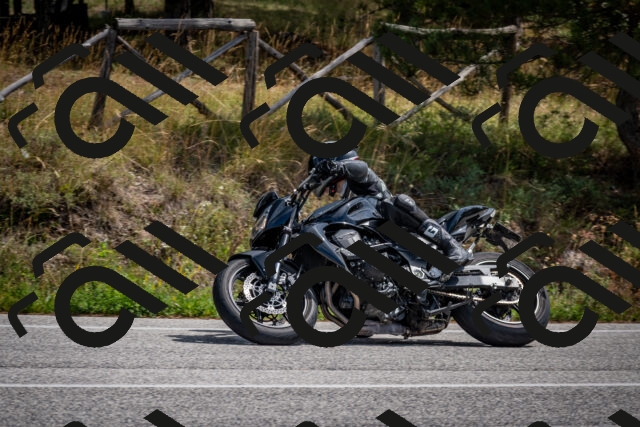 202509071242-DSC_3585_c2