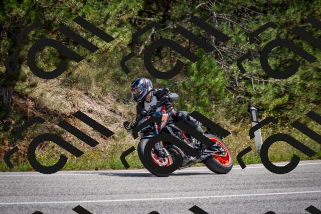 202509071242-DSC_3589_c2