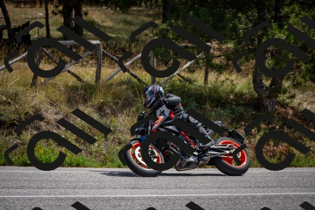 202509071242-DSC_3590_c2