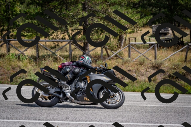 202509071242-DSC_3598_c2