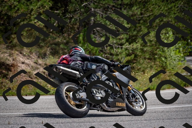 202509071243-DSC_3599_c2