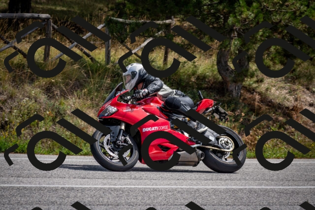 202509071243-DSC_3602_c2