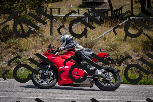 202509071243-DSC_3603_c2