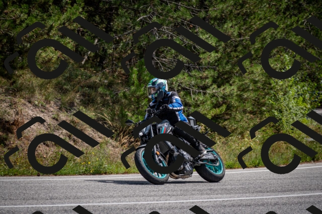 202509071243-DSC_3608_c2