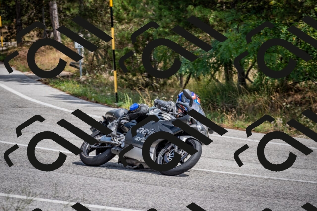 202509071244-DSC_3611_c2