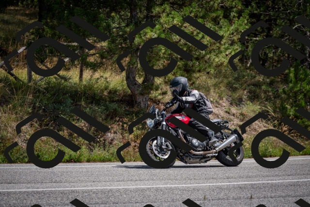 202509071244-DSC_3618_c2