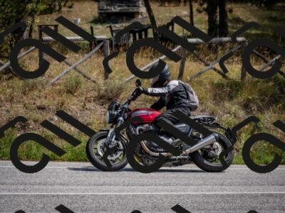 202509071244-DSC_3619_c2