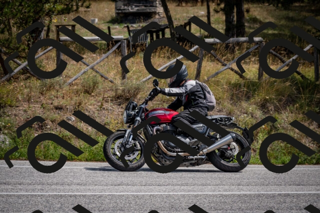 202509071244-DSC_3619_c2