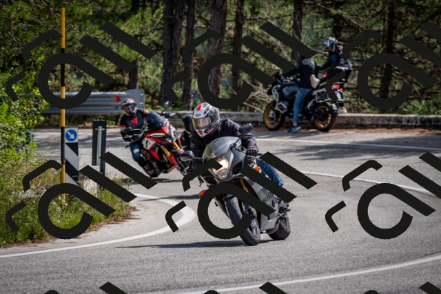 202509071245-DSC_3620_c2