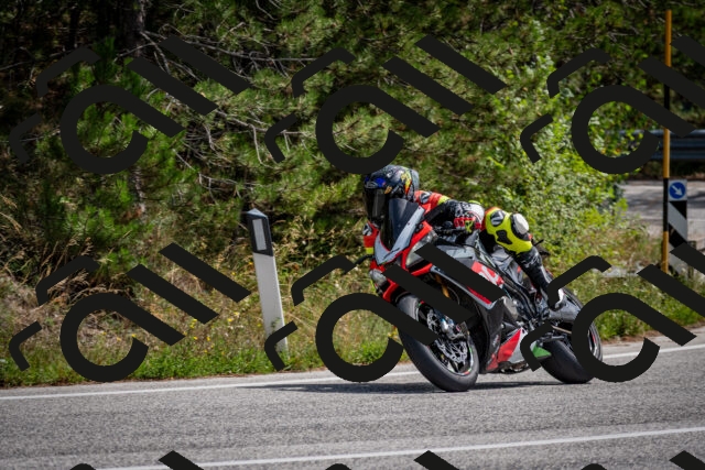 202509071245-DSC_3625_c2