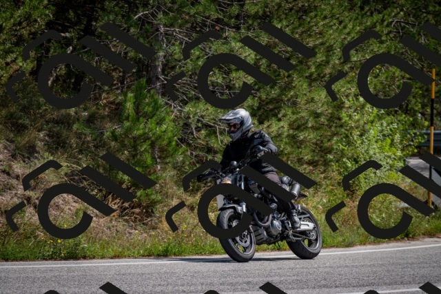 202509071246-DSC_3640_c2