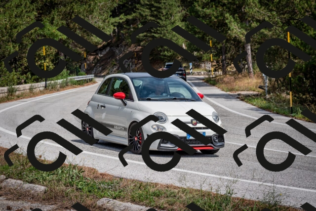 202509071247-DSC_3646_c2