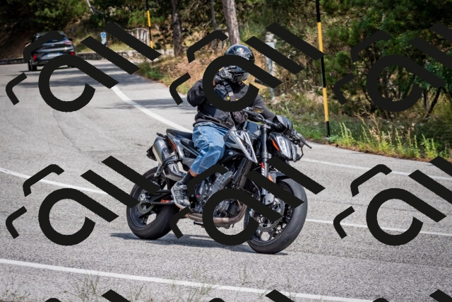 202509071247-DSC_3648_c2