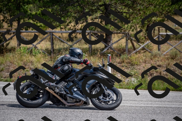 202509071250-DSC_3658_c2