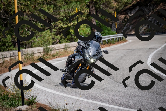 202509071250-DSC_3659_c2