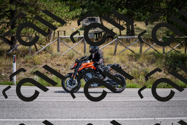 202509071251-DSC_3663_c2