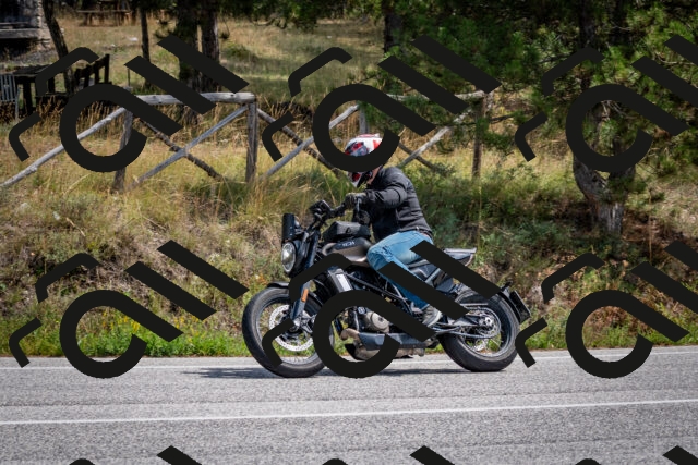 202509071251-DSC_3665_c2