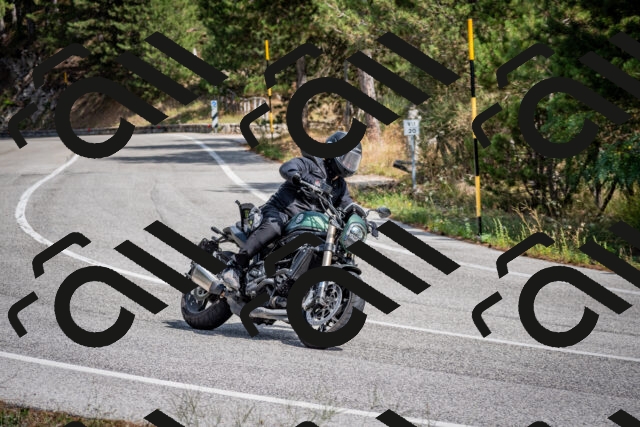 202509071252-DSC_3667_c2