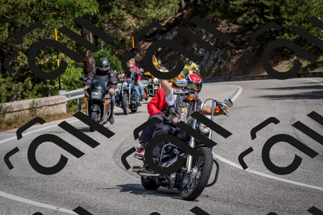 202509071253-DSC_3670_c2