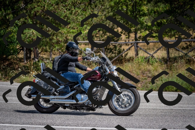 202509071253-DSC_3681_c2