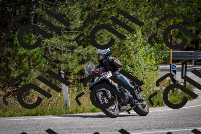 202509071253-DSC_3682_c2