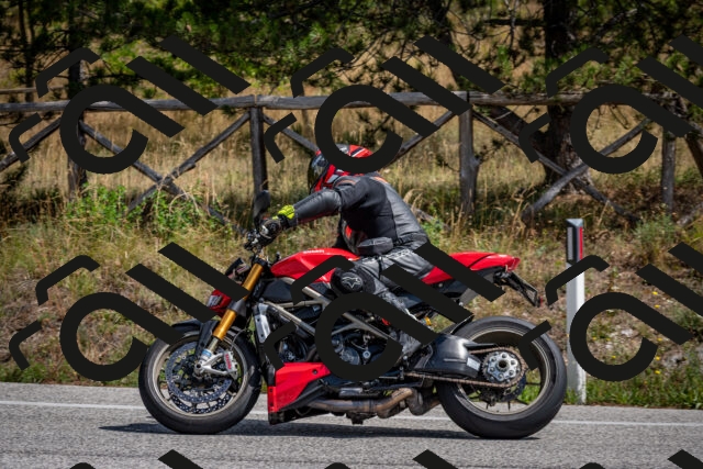 202509071254-DSC_3694_c2